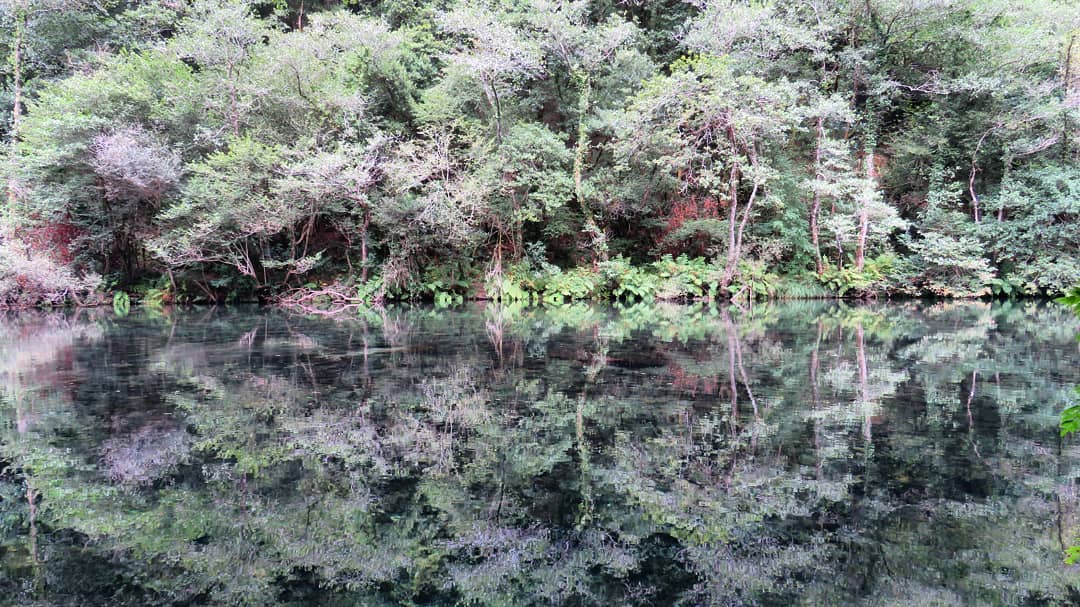 43625936_890963691110177_3782986125813694660_n