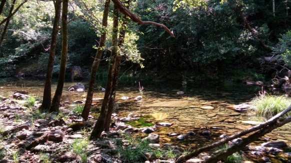 IMG-20190722-WA0018 2