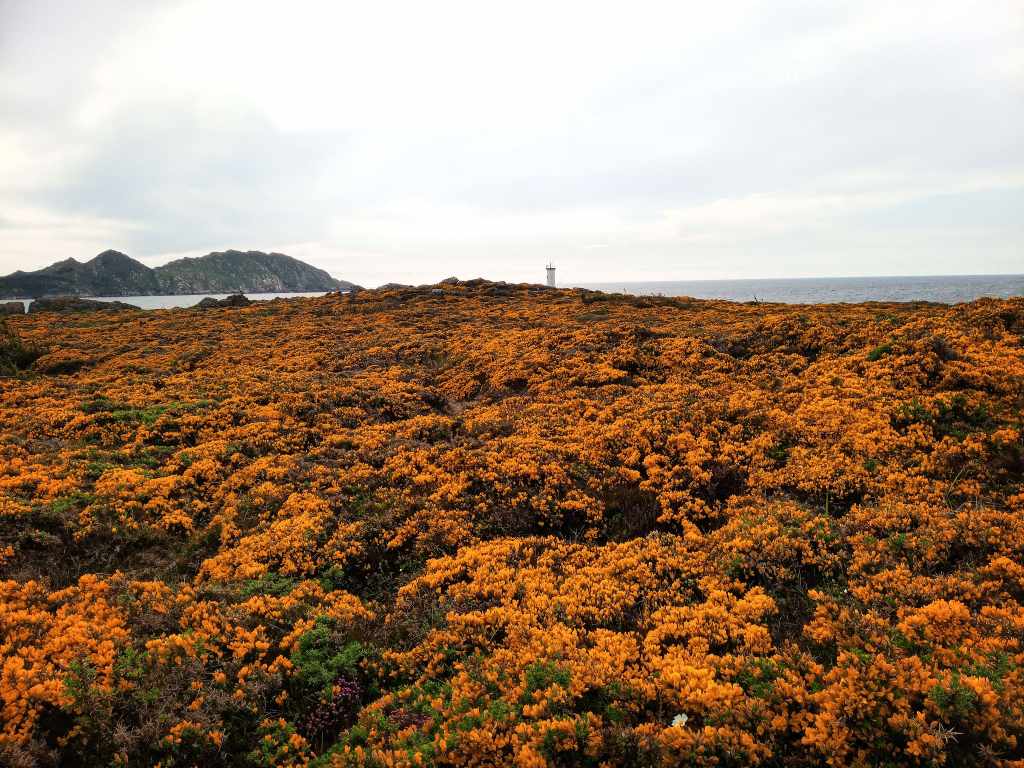 La razón de&nbsp;todo