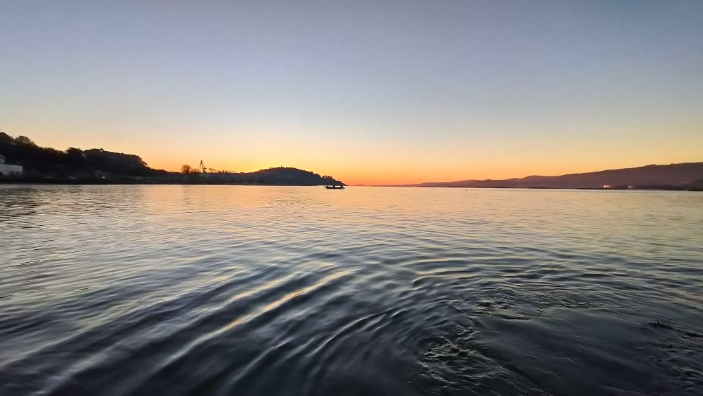 Ya sabía que&nbsp;morirían